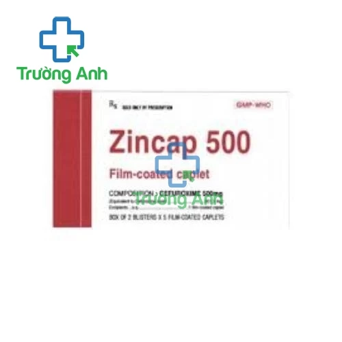 Zincap 500mg - Thuốc kháng sinh điều trị nhiễm khuẩn hiệu quả